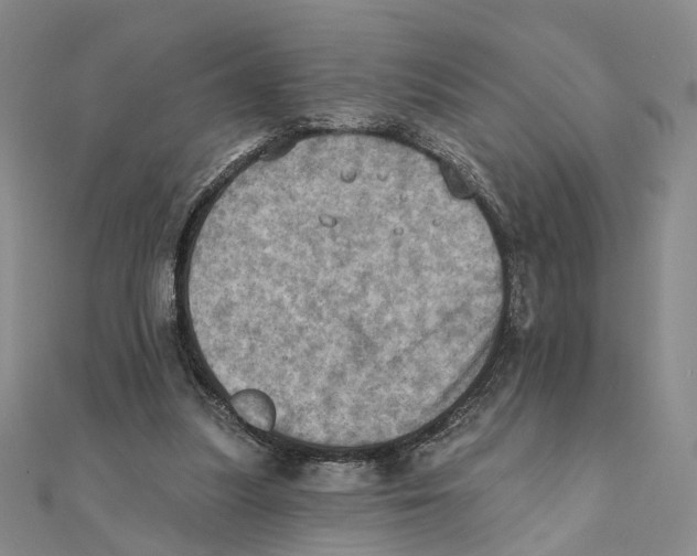 X0000111360251200908071159