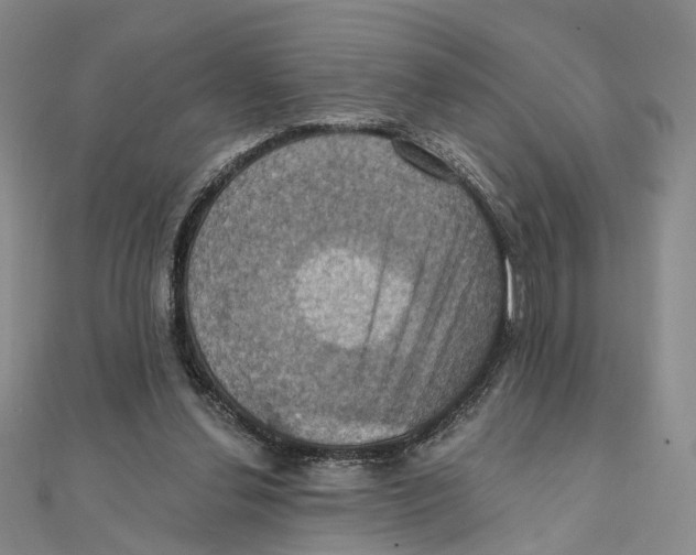 X0000111360252200908071159