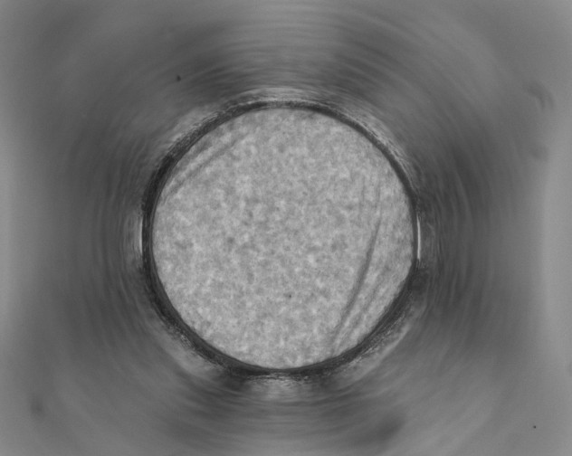 X0000111360253200908071159