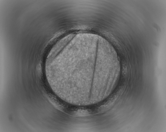 X0000111360256200908071159