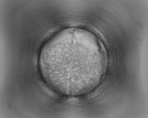 X0000111360257200908071159