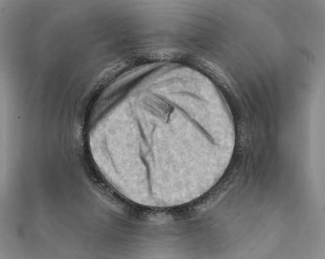 X0000111360258200908071159