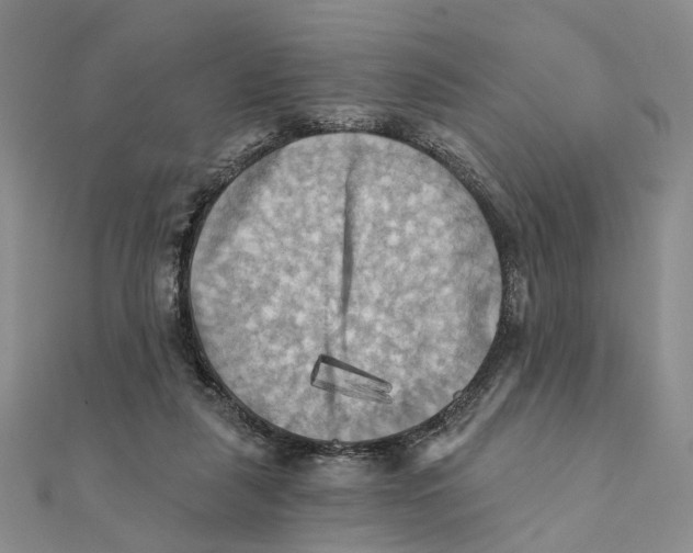 X0000111360259200908071159