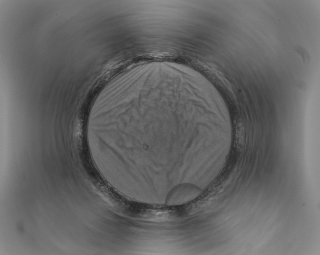 X0000111360260200908071159