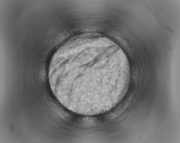 X0000111360261200908071159