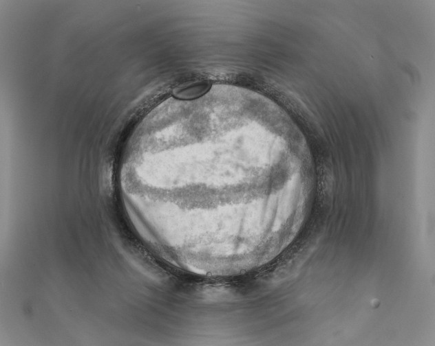 X0000111360262200908071159