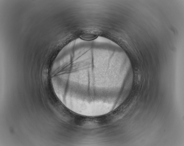 X0000111360263200908071159