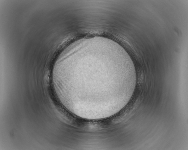 X0000111360264200908071159