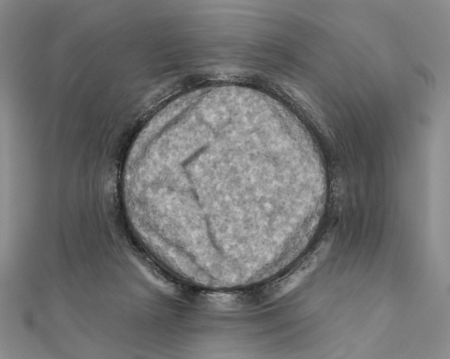 X0000111360265200908071159