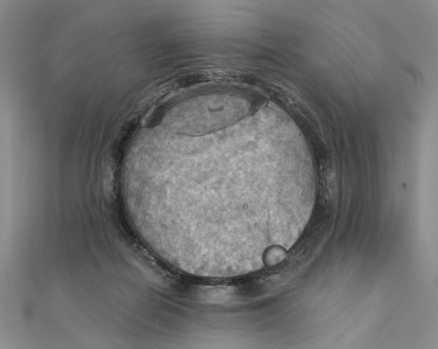 X0000111360266200908071159