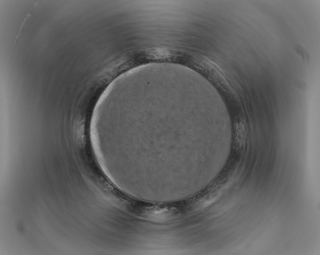 X0000111360267200908071159