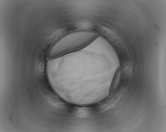 X0000111360268200908071159