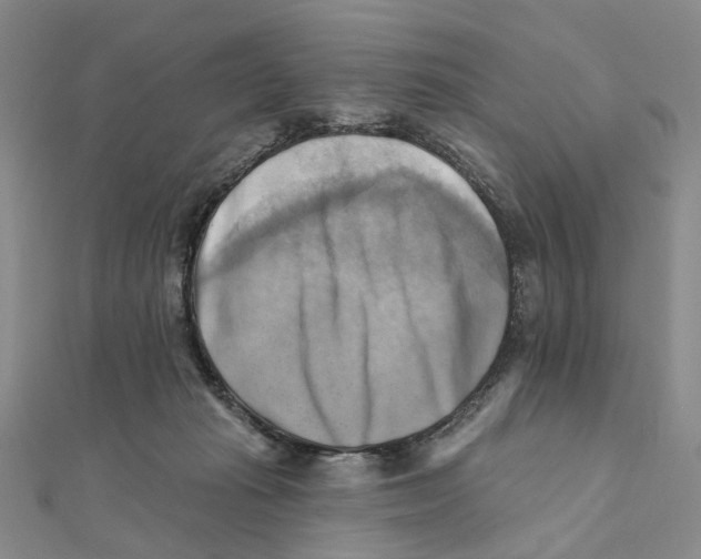 X0000111360269200908071159