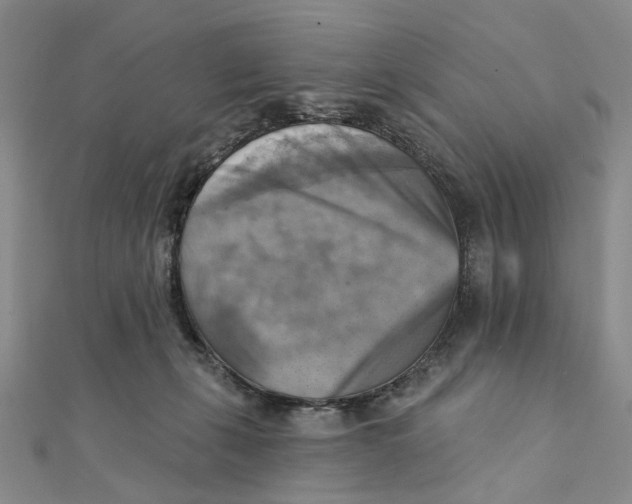 X0000111360271200908071159