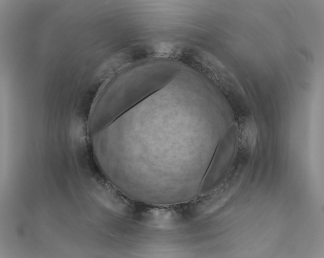 X0000111360272200908071159