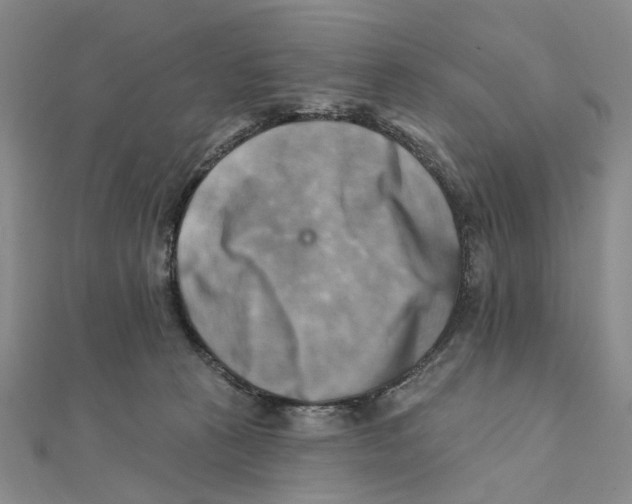 X0000111360273200908071159