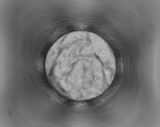 X0000111360274200908071159