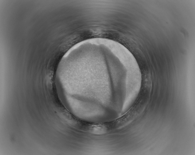 X0000111360275200908071159