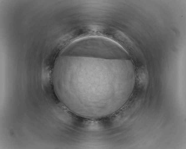 X0000111360276200908071159