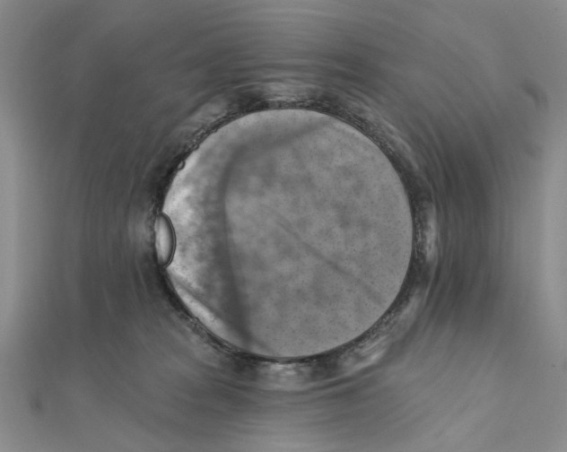 X0000111360277200908071159