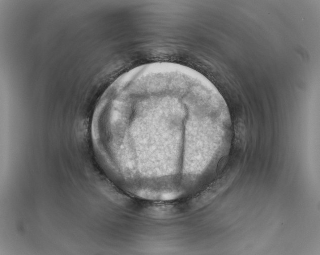 X0000111360278200908071159