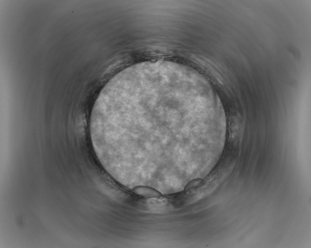 X0000111360279200908071159