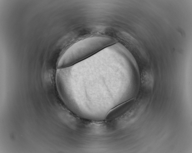 X0000111360280200908071159