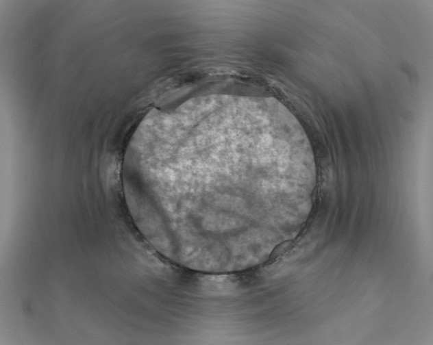 X0000111360281200908071159