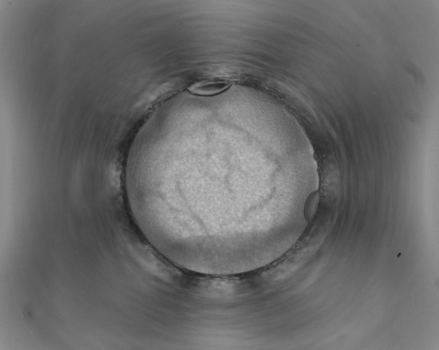 X0000111360282200908071159