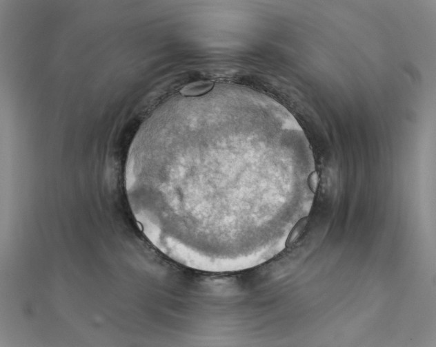 X0000111360283200908071159