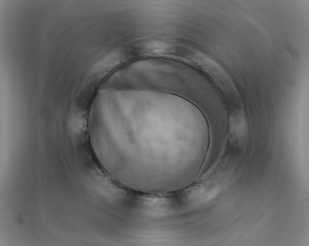 X0000111360284200908071159