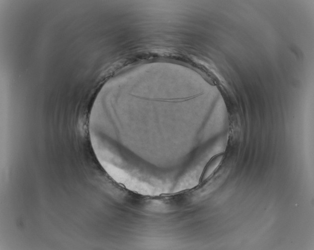 X0000111360285200908071159