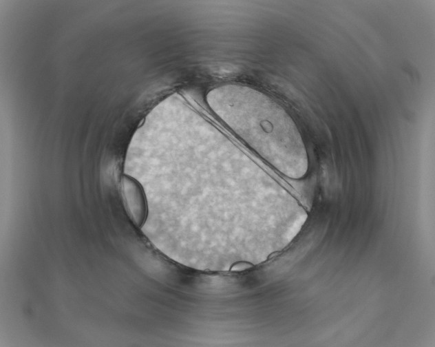 X0000111360286200908071159