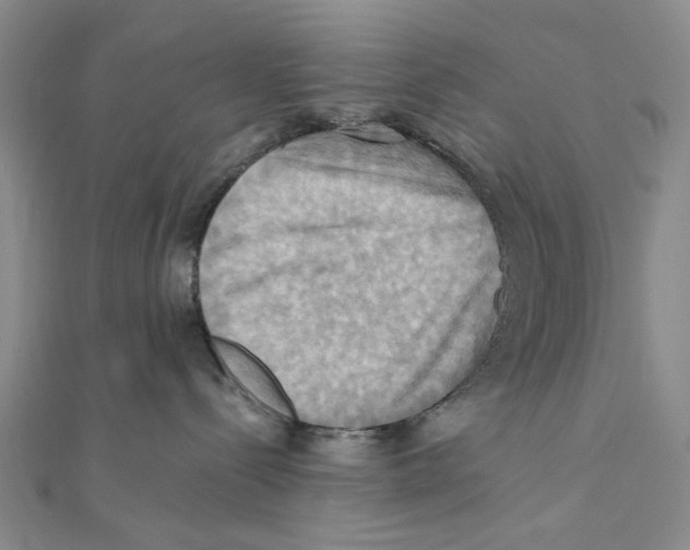 X0000111360288200908071159