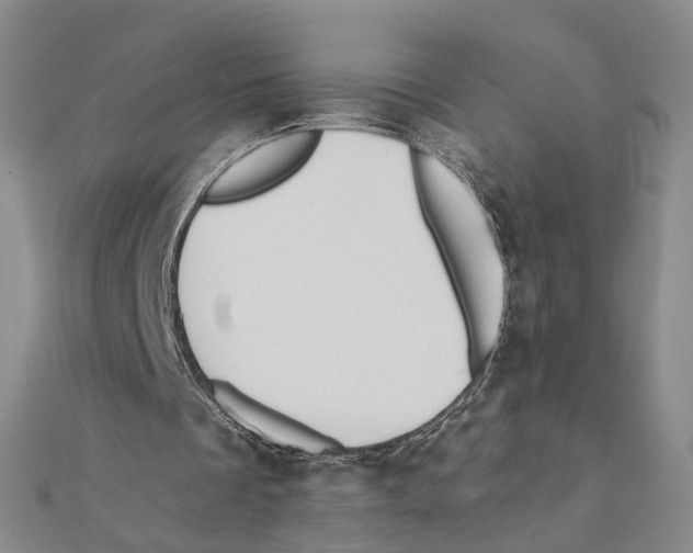 X0000111360289200908071159