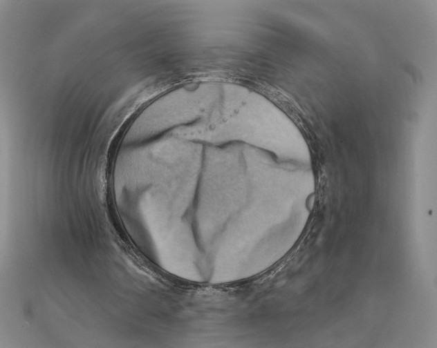 X0000111360290200908071159