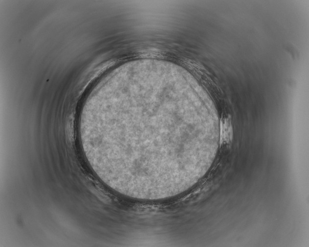 X0000111360291200908071159