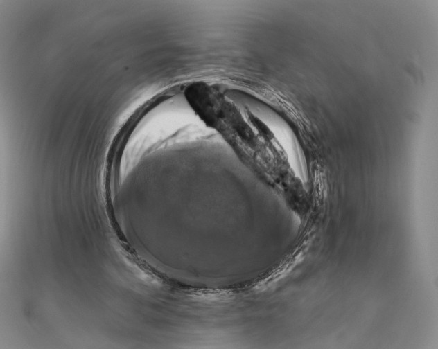 X0000111360292200908071159