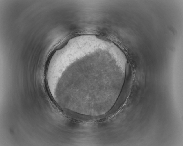 X0000111360293200908071159