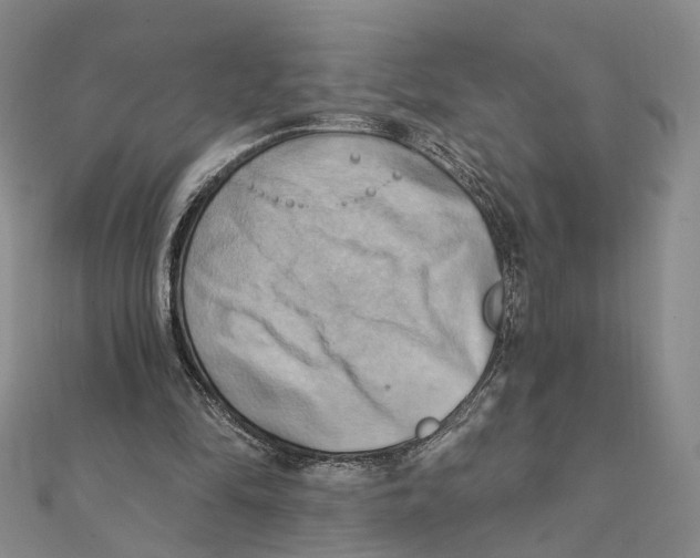 X0000111360294200908071159