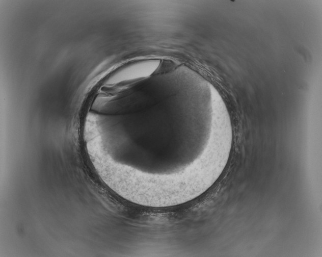 X0000111360295200908071158