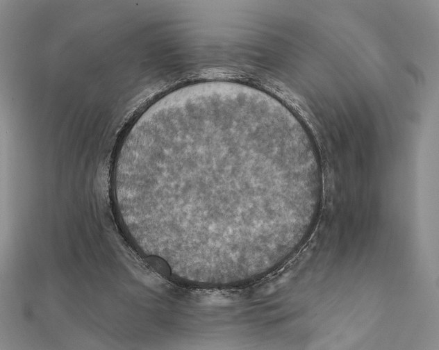 X0000111360297200908071158