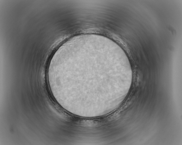 X0000111360298200908071158