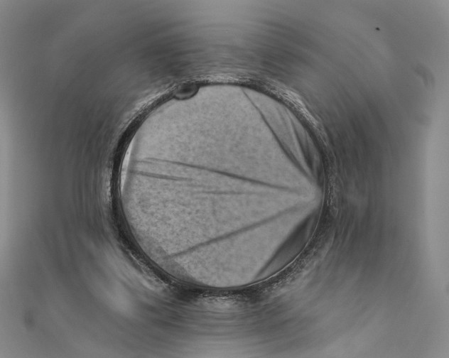 X0000111360299200908071158