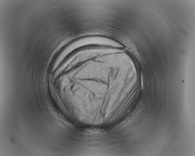 X0000111360300200908071158