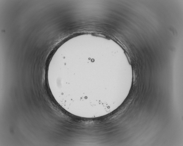 X0000111360301200908071158