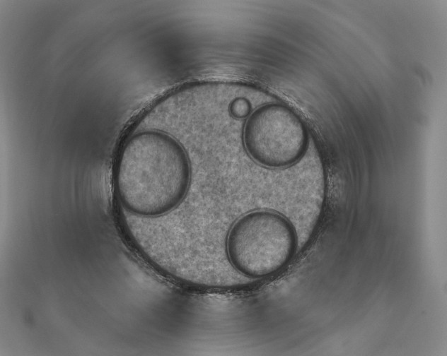 X0000111360302200908071158