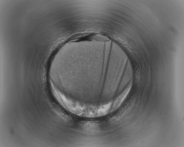 X0000111360303200908071158