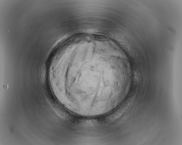 X0000111360304200908071158