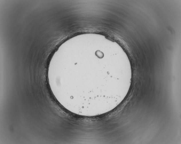 X0000111360305200908071158